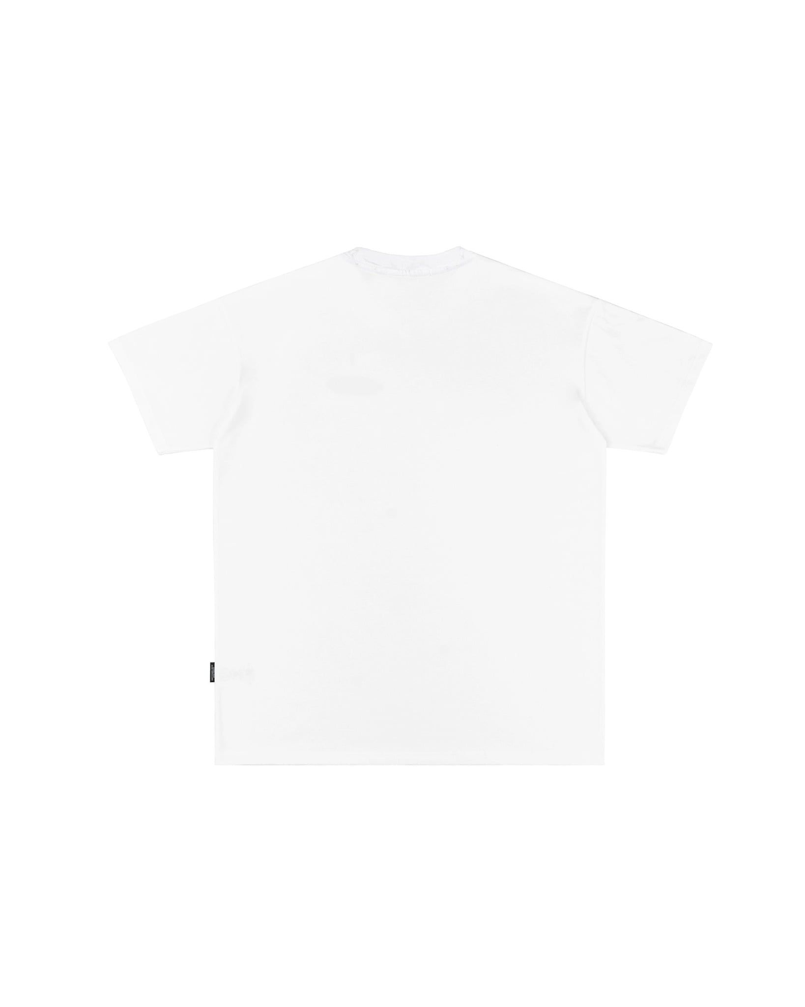  Áo Thun DirtyCoins Striped Destroy All Print 