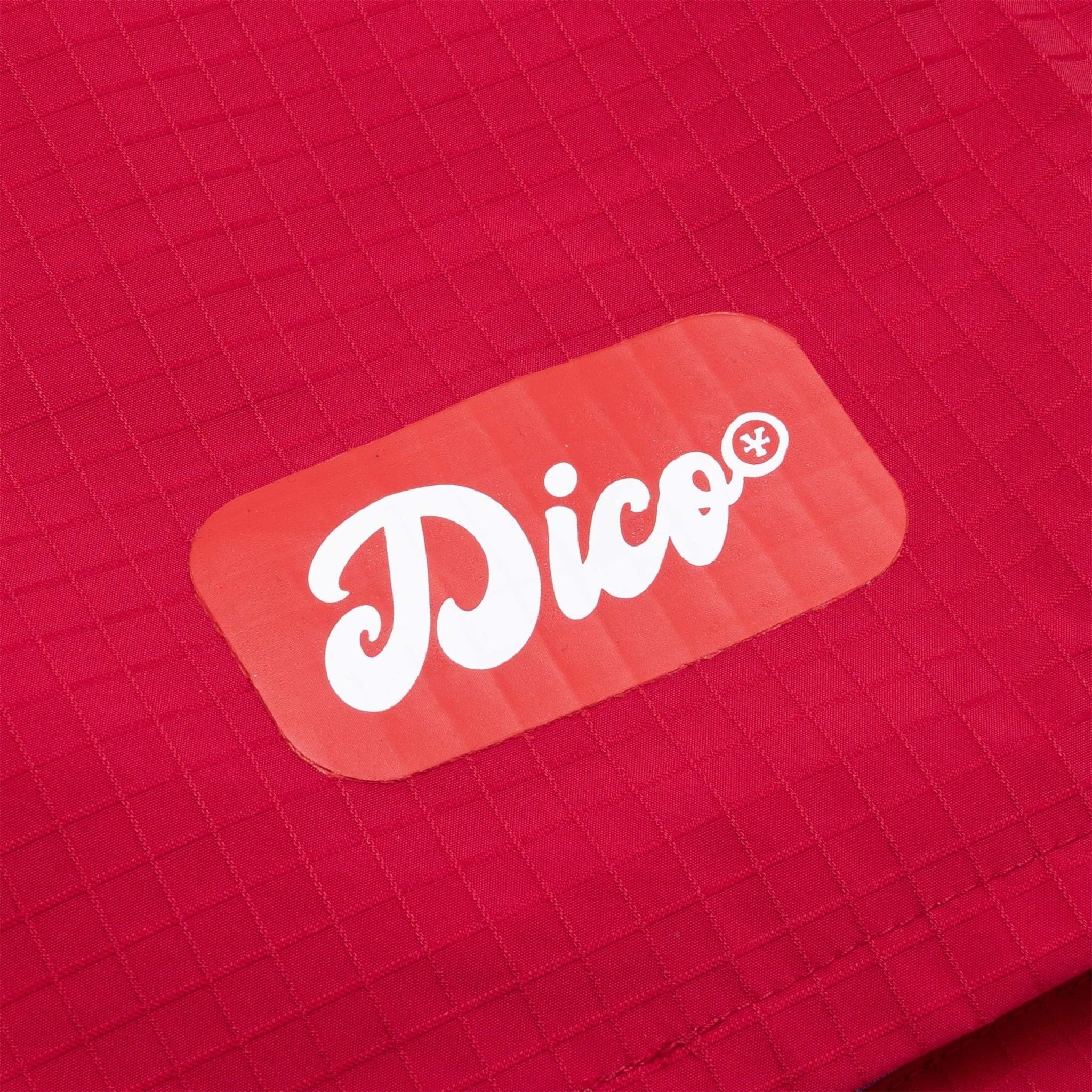  Quần ngắn DirtyCoins Curve Ripstop Shorts 