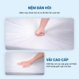  Ghế bập bênh điều chỉnh 5 cấp độ Minh Phát 