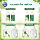  Nước rửa chén Enzyme sinh học Pure Air Hương Trà và Sả Chanh/Gừng, 2,3kg 