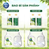  Nước rửa chén Enzyme sinh học Pure Air Hương Trà và Gừng, 750g 