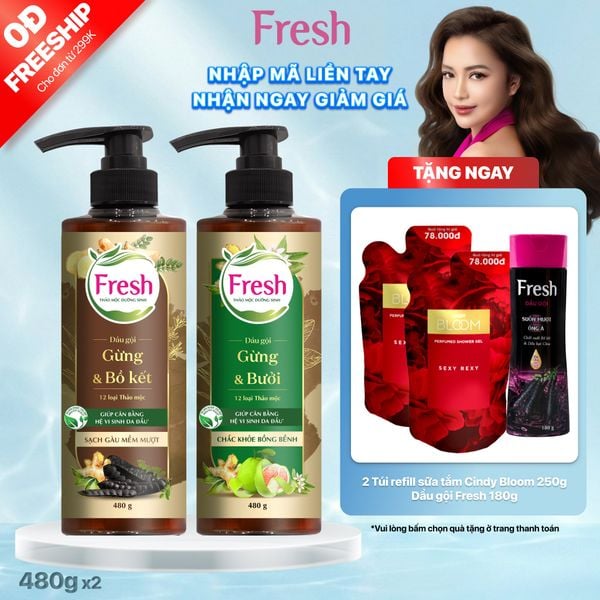 Combo 2 dầu gội Fresh TMDS (Sạch gàu + Chắc khỏe) - Phiên bản mới