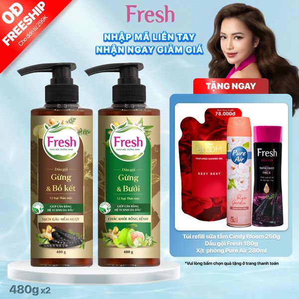 Combo 2 dầu gội Fresh TMDS (Sạch gàu + Chắc khỏe) - Phiên bản mới