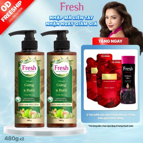Combo 2 dầu gội Fresh TMDS (Chắc khỏe) - Phiên bản mới
