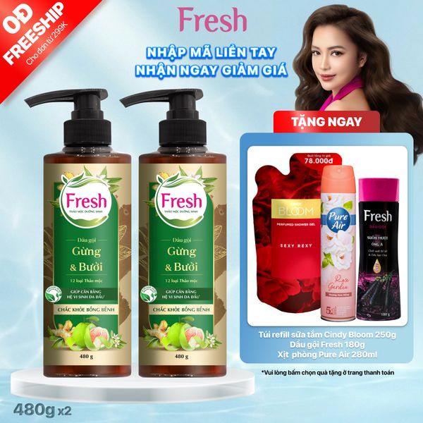 Combo 2 dầu gội Fresh TMDS (Chắc khỏe) - Phiên bản mới