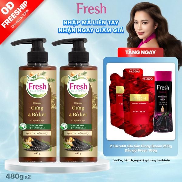 Combo 2 dầu gội Fresh TMDS (Sạch gàu) - Phiên bản mới