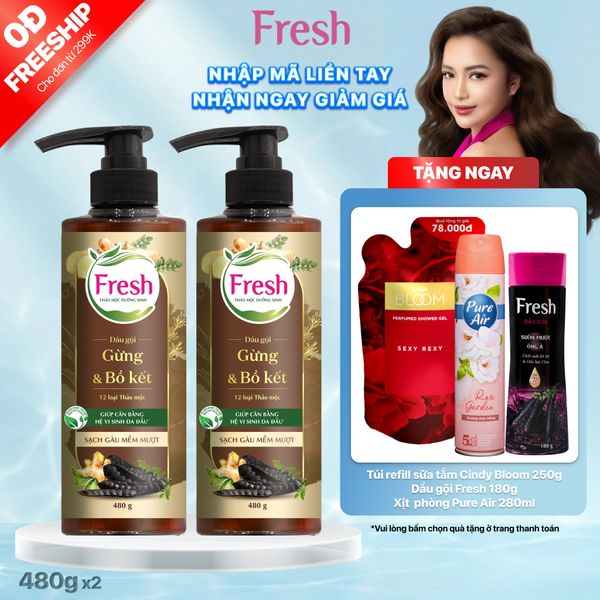 Combo 2 dầu gội Fresh TMDS (Sạch gàu) - Phiên bản mới