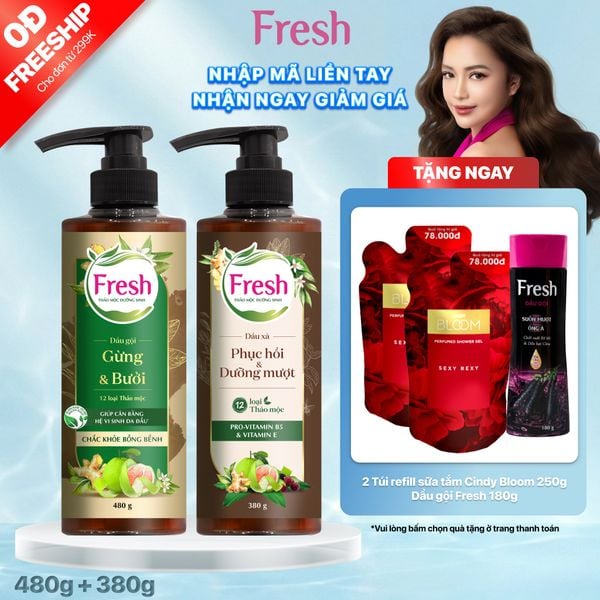 Combo Dầu gội Fresh TMDS Chắc khỏe bồng bềnh 480g + Dầu xã 380g - Phiên bản mới