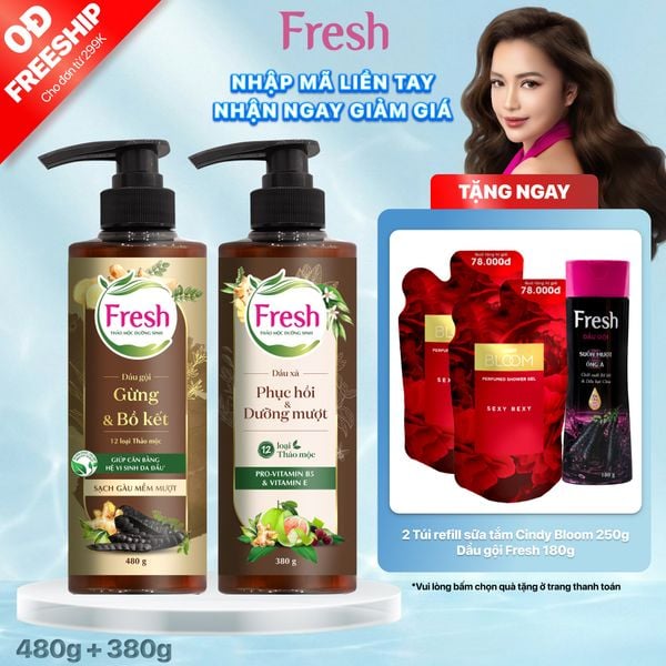 Combo Dầu gội Fresh TMDS Sạch gàu mềm mượt 480g + Dầu xã 380g - Phiên bản mới