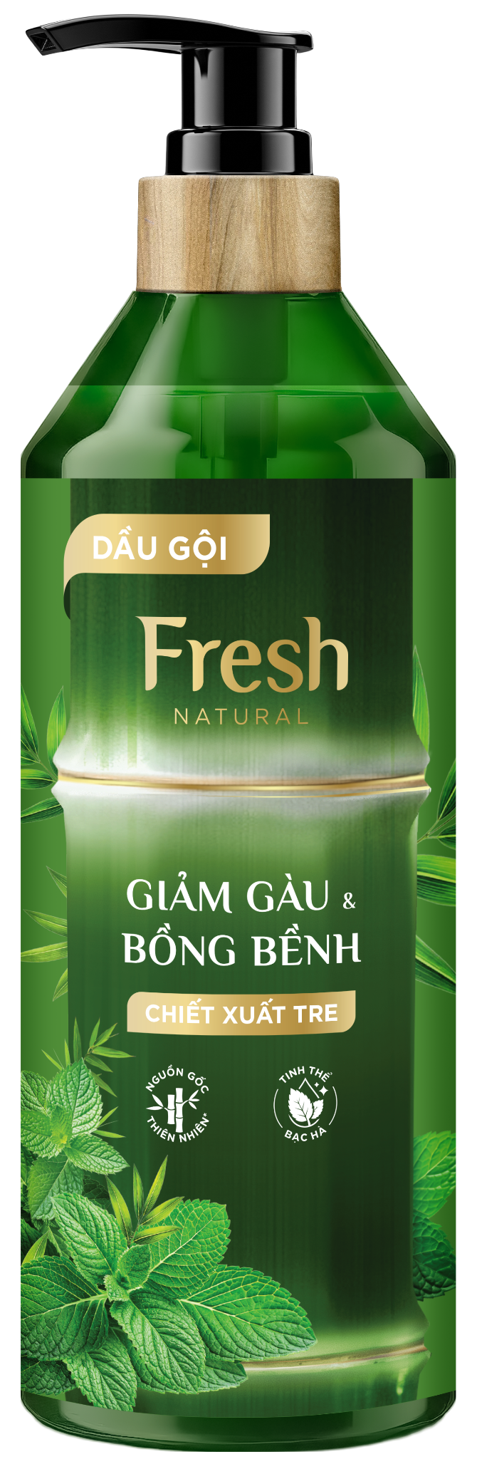  Dầu gội Fresh Natural Giảm gàu & Bồng bềnh tóc Chiết xuất Tre, 650g 