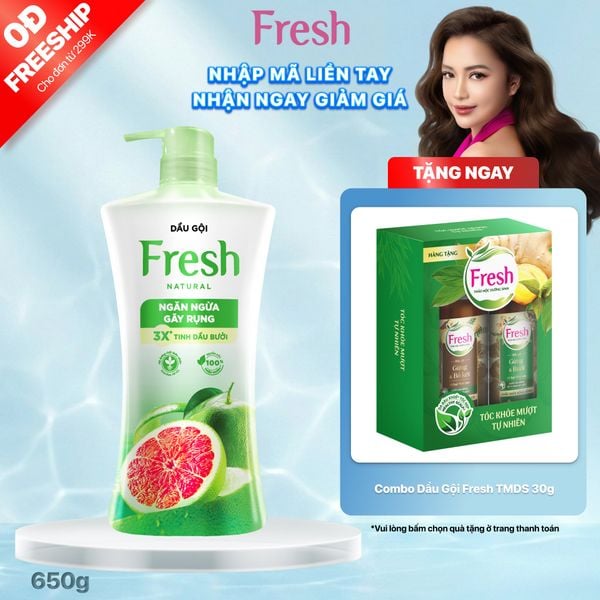 Dầu Gội FRESH Thiên Nhiên Giảm Gãy Rụng Tinh Dầu Bưởi 650g/chai