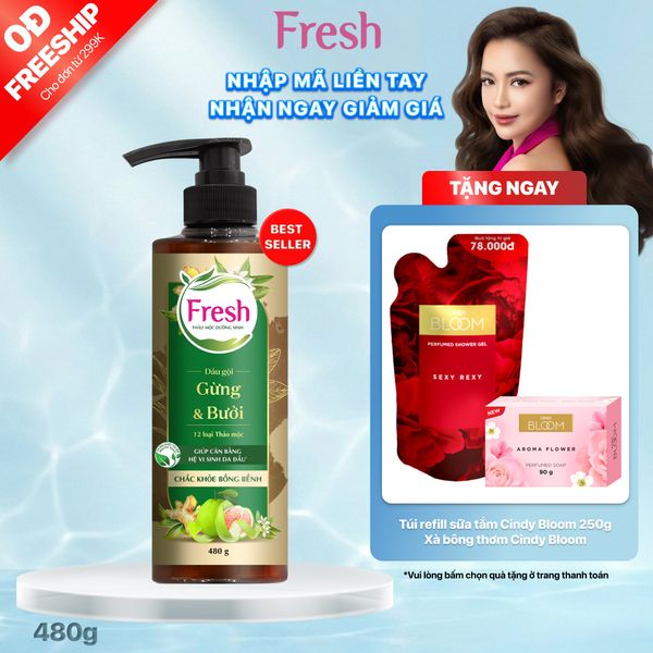 Dầu Gội FRESH Thảo Mộc Dưỡng Sinh Chắc Khỏe Bồng Bềnh 480g/chai