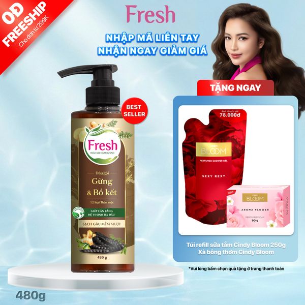 Dầu Gội FRESH Thảo Mộc Dưỡng Sinh Sạch Gàu Mềm Mượt 480g/chai