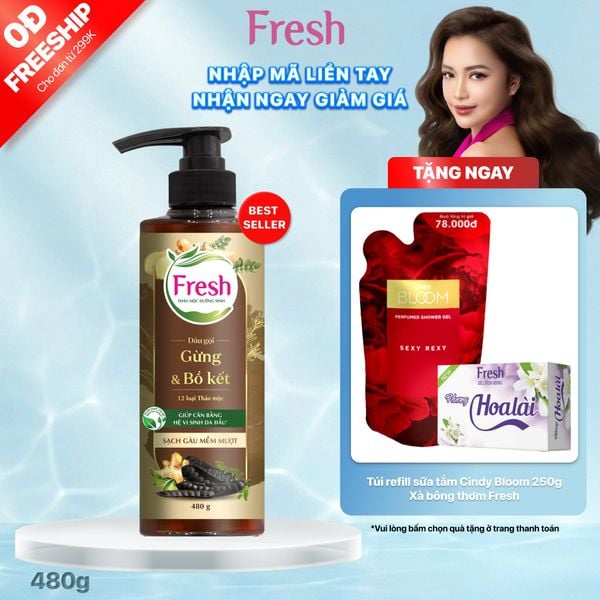 Dầu Gội FRESH Thảo Mộc Dưỡng Sinh Sạch Gàu Mềm Mượt 480g/chai