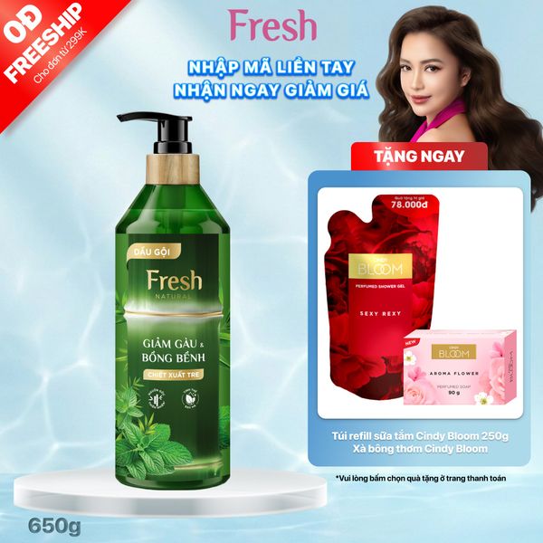 Dầu gội Fresh Natural Giảm gàu & Bồng bềnh tóc Chiết xuất Tre, 650g
