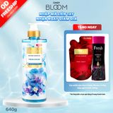  Sữa Tắm Nước Hoa CINDY BLOOM Fresh Ocean Hương Năng Động Trẻ Trung 640g 