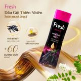  Dầu Gội FRESH Thiên Nhiên Chiết Xuất Bồ Kết Suôn Mượt Óng Ả 180g/chai 