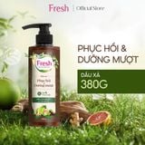  Dầu Xả FRESH Thảo Mộc Dưỡng Sinh Phục Hồi Và Dưỡng Mượt Tóc Hư Tổn 380g 