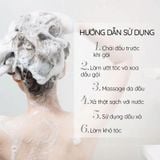  Dầu Xả FRESH Thảo Mộc Dưỡng Sinh Phục Hồi Và Dưỡng Mượt Tóc Hư Tổn 380g 