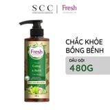  Dầu Gội FRESH Thảo Mộc Dưỡng Sinh Chắc Khỏe Bồng Bềnh 480g/chai 