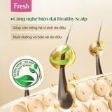  Dầu Gội FRESH Thảo Mộc Dưỡng Sinh Chắc Khỏe Bồng Bềnh 480g/chai 