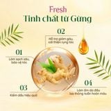  Dầu Gội FRESH Thảo Mộc Dưỡng Sinh Chắc Khỏe Bồng Bềnh 480g/chai 