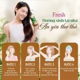  Dầu Gội FRESH Thảo Mộc Dưỡng Sinh Chắc Khỏe Bồng Bềnh 480g/chai 