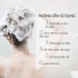  Combo 2 dầu gội Fresh TMDS (Sạch gàu) - Phiên bản mới 