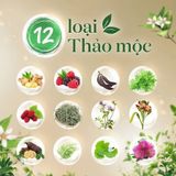  Combo 2 dầu gội Fresh TMDS (Sạch gàu) - Phiên bản mới 