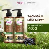 Combo 2 dầu gội Fresh TMDS (Sạch gàu) - Phiên bản mới 