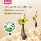  Combo Dầu gội Fresh TMDS Chắc khỏe bồng bềnh 480g + Dầu xã 380g - Phiên bản mới 