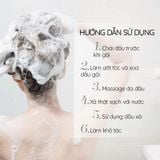  Combo Dầu gội Fresh TMDS Sạch gàu mềm mượt 480g + Dầu xã 380g - Phiên bản mới 