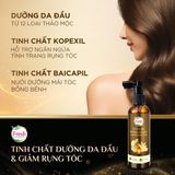  Tinh Chất Fresh Thảo Mộc Dưỡng Sinh Giúp Dưỡng Da Đầu Và Hỗ Trợ Giảm Rụng Tóc 100ml 