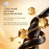  Tinh Chất Fresh Thảo Mộc Dưỡng Sinh Giúp Dưỡng Da Đầu Và Hỗ Trợ Giảm Rụng Tóc 100ml 