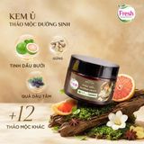  Kem Ủ Tóc Fresh Thảo Mộc Dưỡng Sinh Hỗ Trợ Phục hồi Và Dưỡng Mượt Tóc Hư Tổn 220g 
