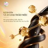  Kem Ủ Tóc Fresh Thảo Mộc Dưỡng Sinh Hỗ Trợ Phục hồi Và Dưỡng Mượt Tóc Hư Tổn 220g 