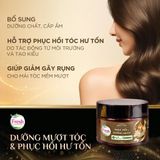  Kem Ủ Tóc Fresh Thảo Mộc Dưỡng Sinh Hỗ Trợ Phục hồi Và Dưỡng Mượt Tóc Hư Tổn 220g 