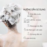  (Quà tặng) Dầu Xả FRESH Thảo Mộc Dưỡng Sinh 120g 