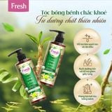  Dầu Gội & Xả FRESH Thảo Mộc Dưỡng Sinh Chắc Khỏe Bồng Bềnh/Sạch Gàu Mềm Mượt- 480g + 380g 