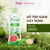  Dầu Gội FRESH Thiên Nhiên Giúp Tóc Chắc Khỏe Mềm Mượt 650g/chai 