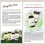 Bộ gội xả gừng ngăn ngừa lão hóa da đầu Weilaiya Luxury 420ml x 200ml (Nâu)
