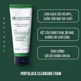 Sữa rửa mặt ngừa mụn sạch sâu gấp 2 lần CARYOPHY Portulaca Cleansing Foam 150ml