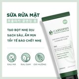 Sữa rửa mặt ngừa mụn sạch sâu gấp 2 lần CARYOPHY Portulaca Cleansing Foam 150ml