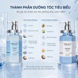 Bộ gội xả WEILAIYA Extra Volume & Luminous Repair