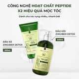 Bộ gội xả gừng detox hỗ trợ mọc tóc Weilaiya Luxury 420ml x 200ml (Xanh)