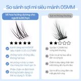 Lông Mi Giả Tách Sợi Hoa Hướng Dương Mlen Diary SUNFLOWER