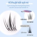 Lông Mi Giả Tách Sợi Hoa Hướng Dương Mlen Diary SUNFLOWER