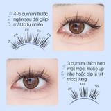 Lông Mi Giả Tách Sợi Hoa Hướng Dương Mlen Diary SUNFLOWER
