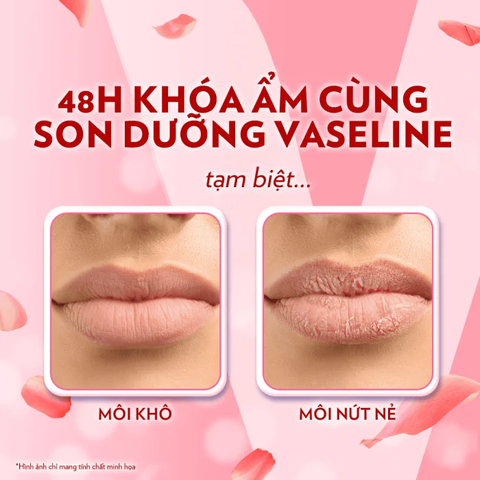 Sáp dưỡng môi dạng thỏi Vaseline Lip Therapy Rosy Lips With Petroleum Jelly Hoa Hồng 4,8g (Tặng móc khóa)