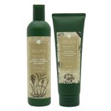 Gội xả hà thủ ô nuôi dưỡng tóc chắc khỏe Weilaiya Hair Strength Shampoo & Conditioner